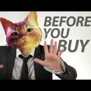 Stray - Before You Buy