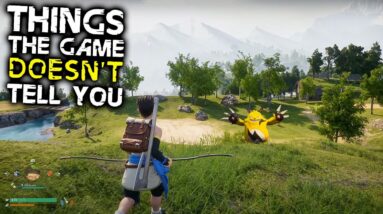 Palworld: 10 Things The Game DOESN'T TELL YOU